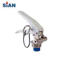 Fire Extinguisher Valve with CE Approval Copper Alloy Valve for Dry Powder Fire Extinguisher