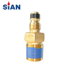 SiAN D16 LPG Tank Self-closing Cooking Snap-on Valves For Philippines