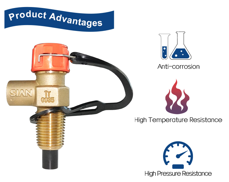 D21 Compact Valve (4) D21 Compact Valve (4)