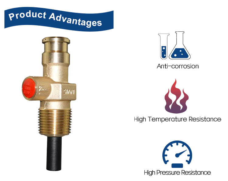 LPG Compact Valves (4) LPG Compact Valves (4)