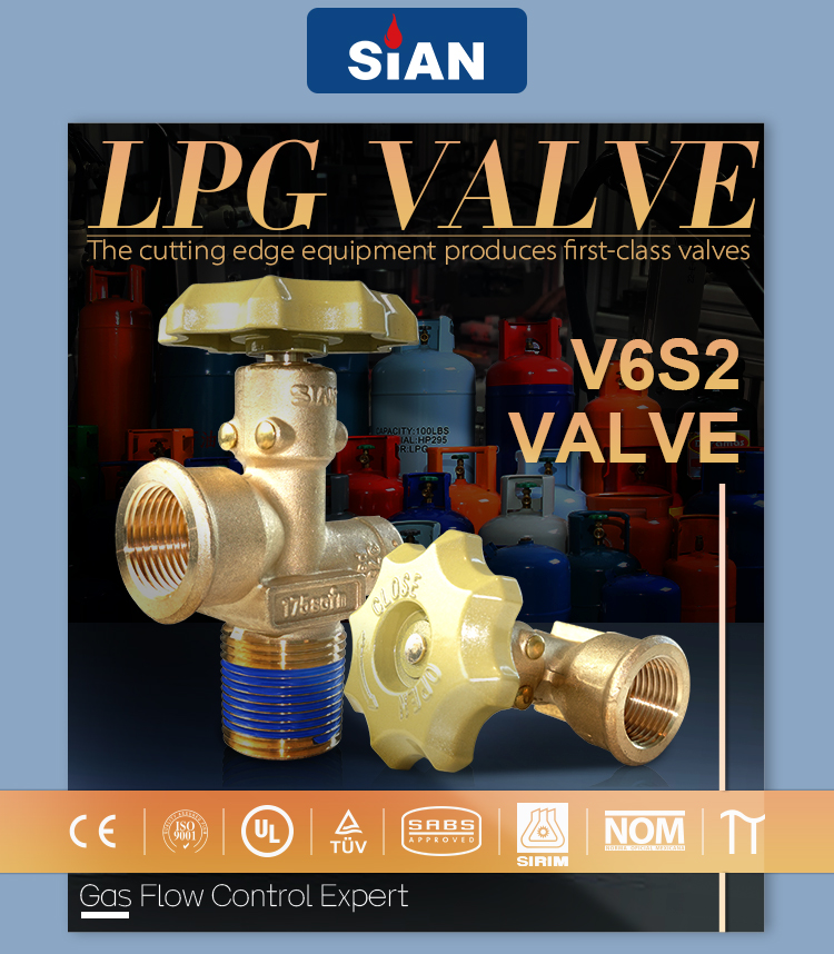 V6S2 LPG Gas Cylinder POL Valve (3)