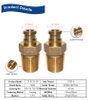 SiAN Manufacture ZF-B1 Brass Safety Self-Closing LPG Gas Cylinder Snap On Valves For Home Use