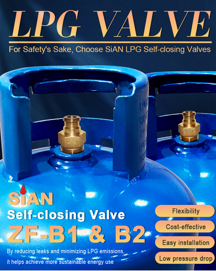 lpg self closing valve (6) lpg self closing valve (6)